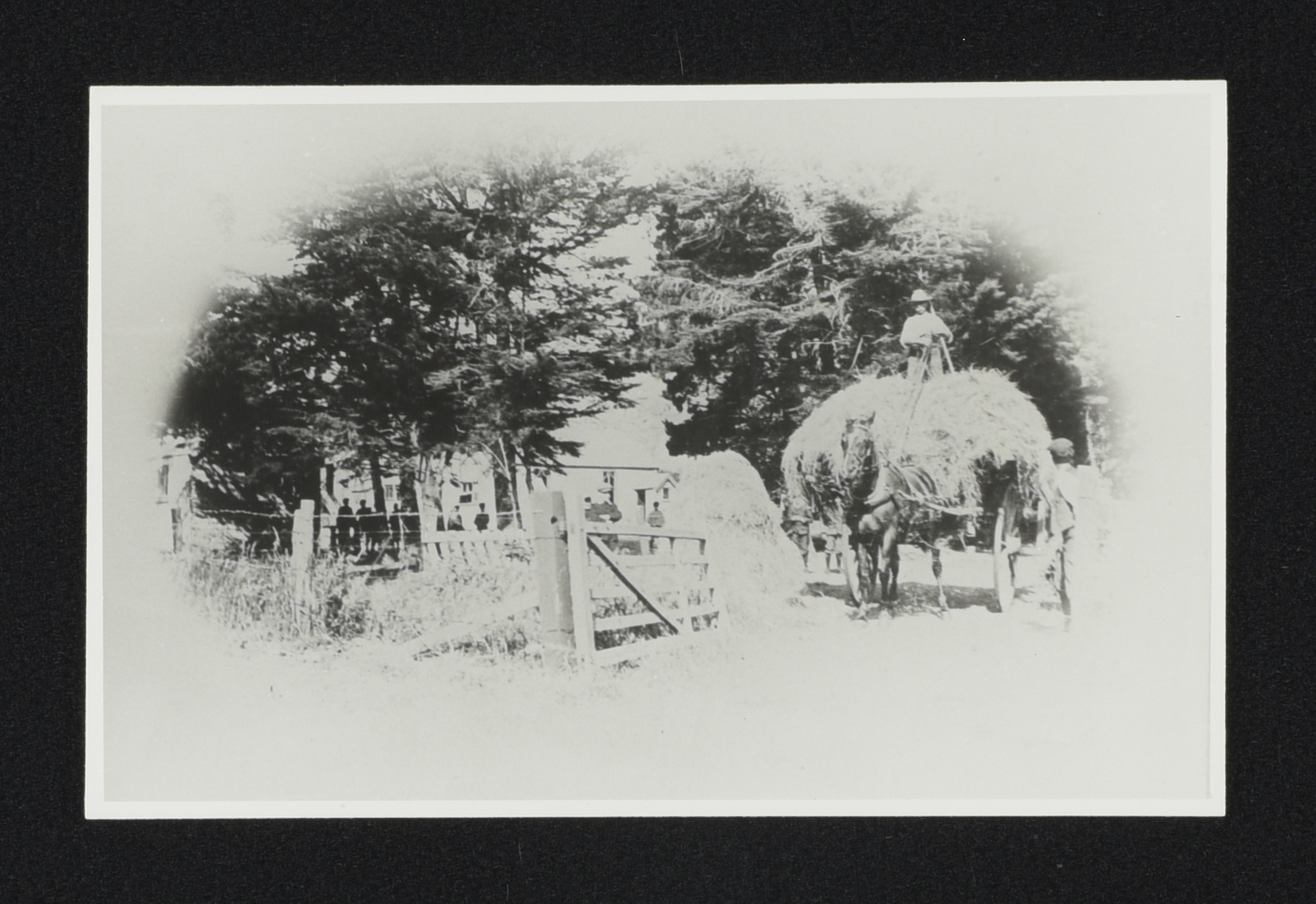 Early Days of Farming
