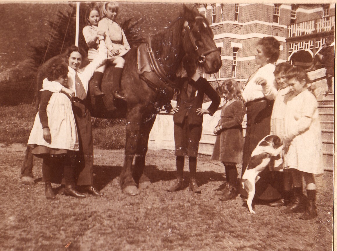 Old Dobbin - 1914 