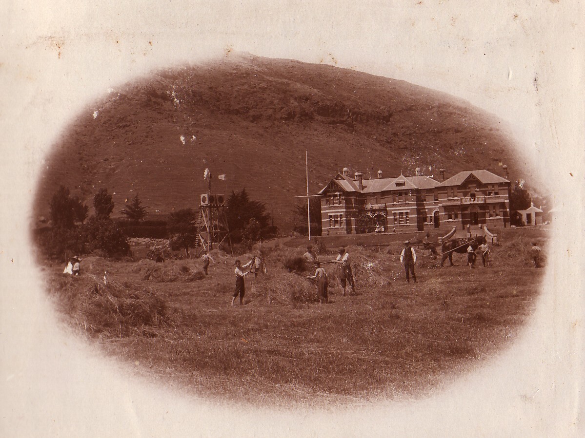 Hay Making - 1913 
