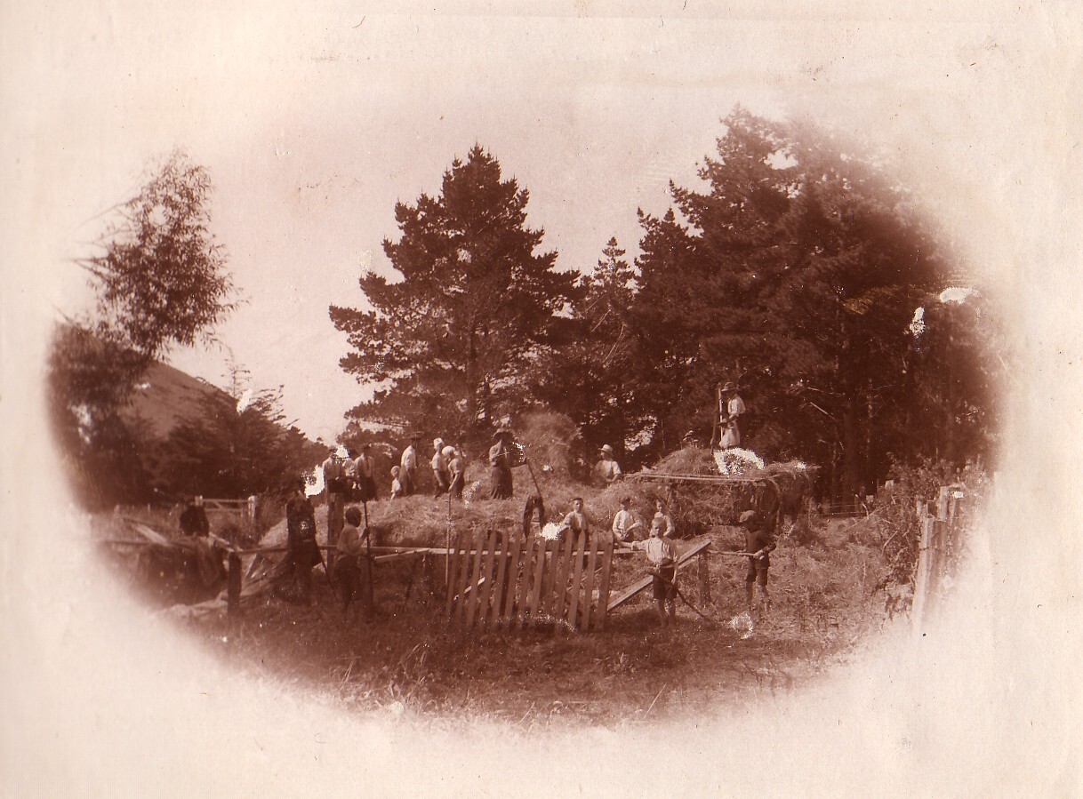 Hay Stacking - 1913