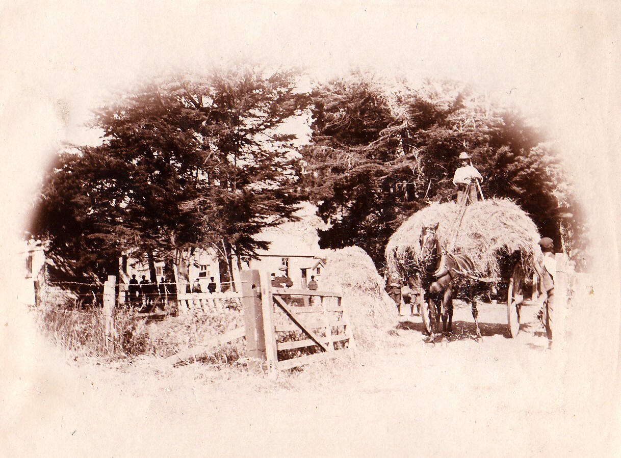 Carting Hay - 1913