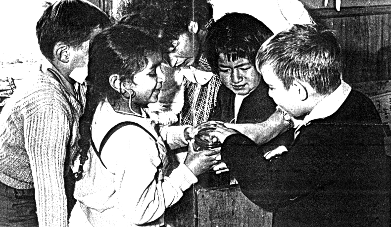 Class Activity - 1963