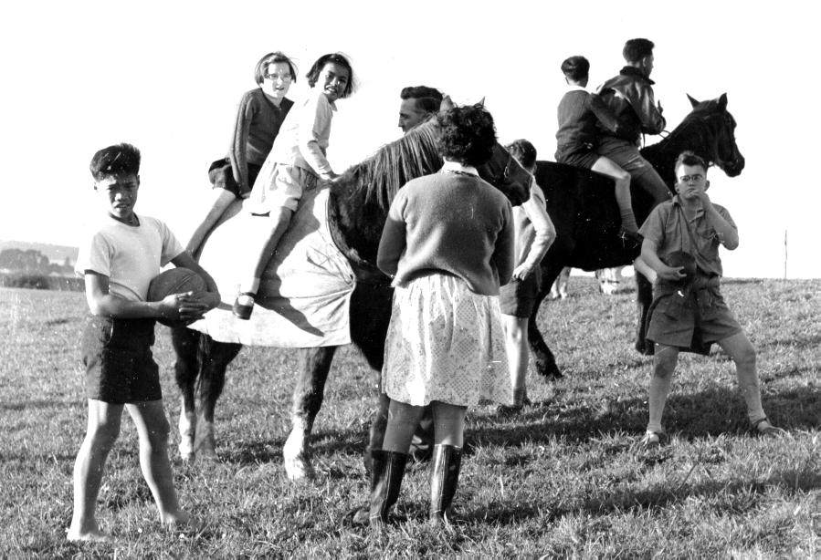  Kelston Horses - 1962