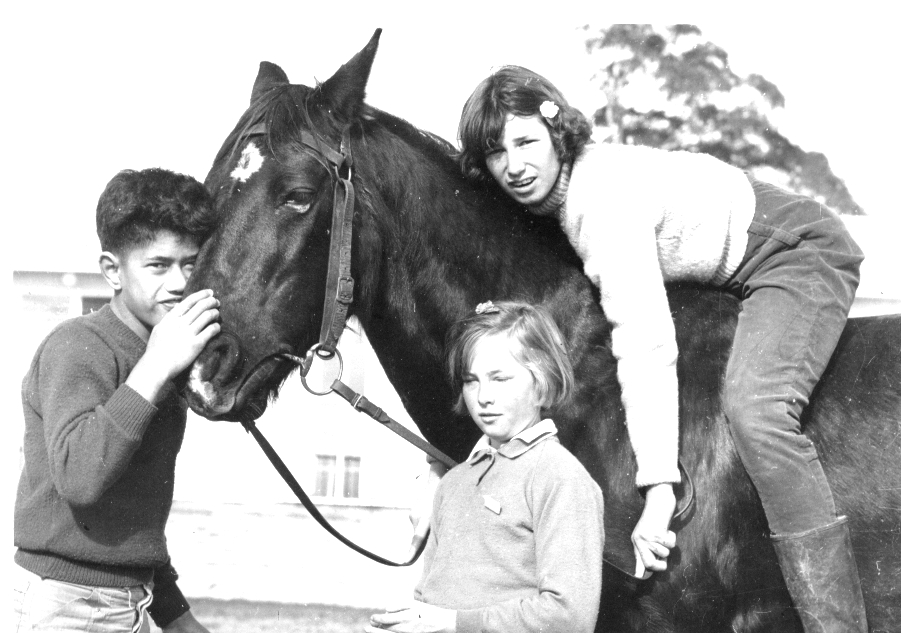 Kelston Horse - 1962 