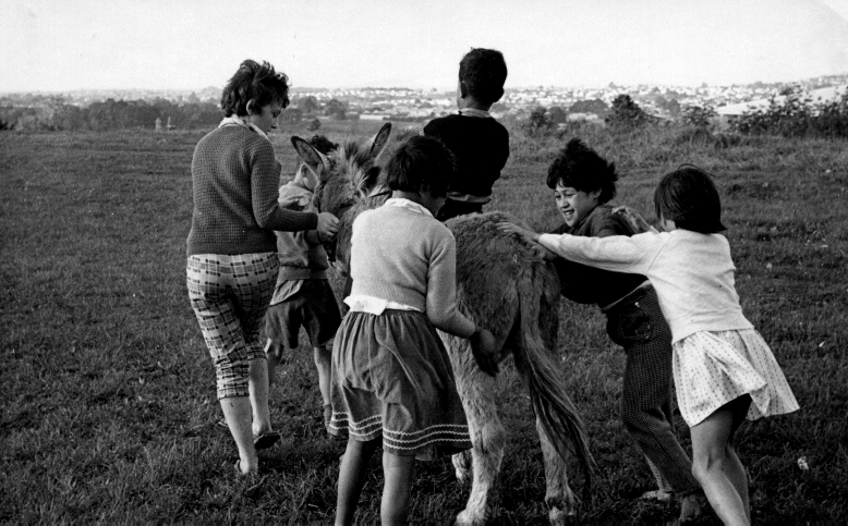 Donkey and Students - 1962