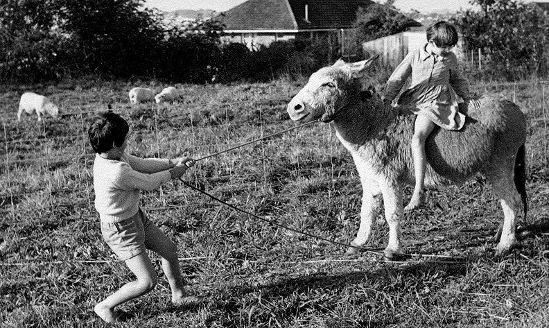 Donkey Ride - 1962