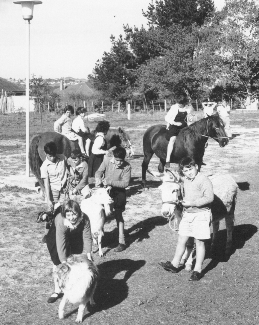 Kelston Pets - 1962 