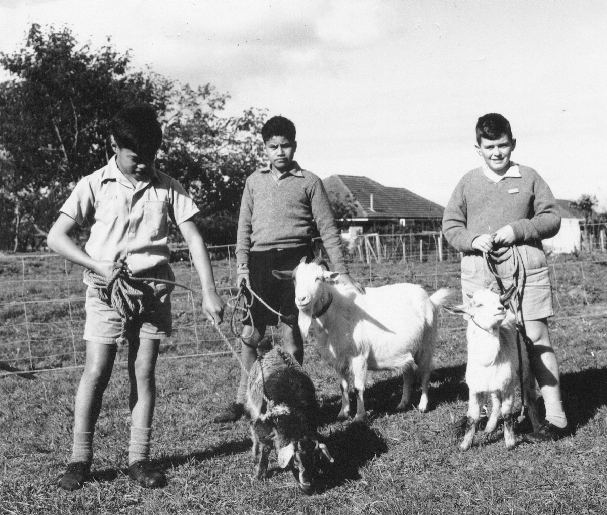Kelston Goats - 1962 