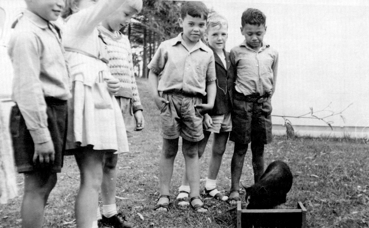 Students Admiring a Pet Pig - 1962 