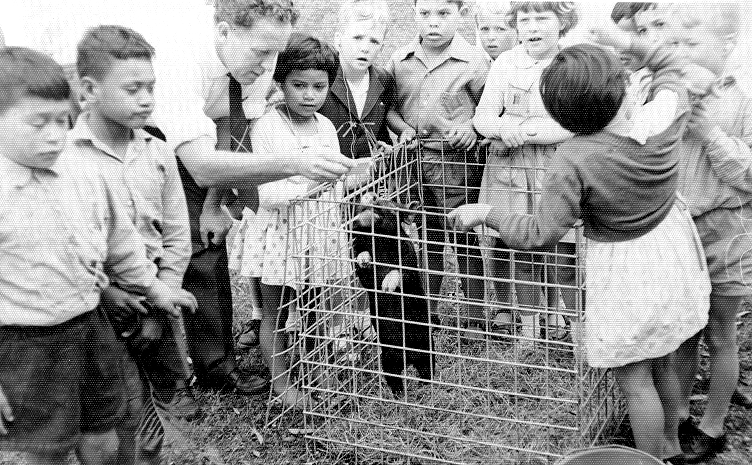 Animal Visit - 1962 