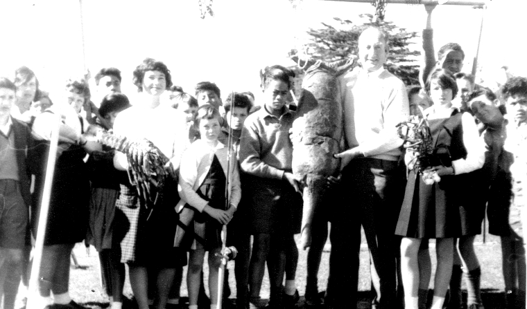 Bay of Island Trip - 1961 