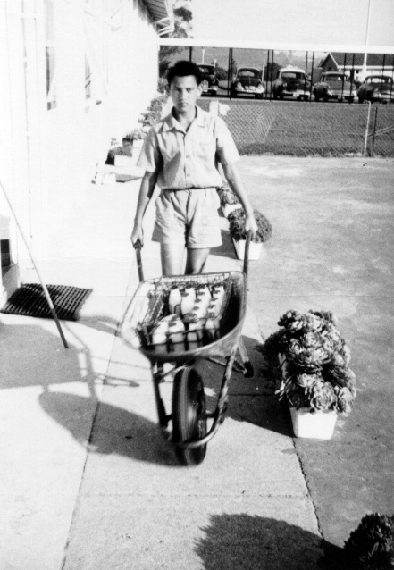 Milk Delivery - 1964 