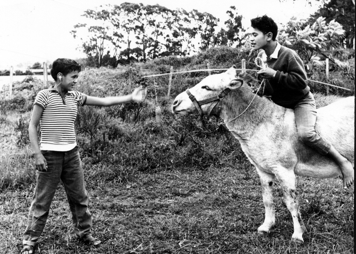 Boys &amp; the Donkey - 1963 