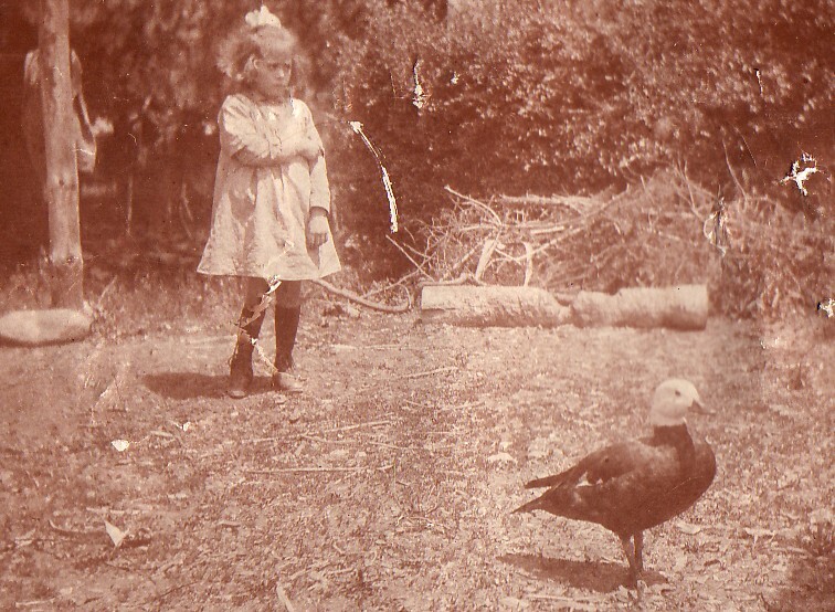 Girl &amp; Goose - 1910