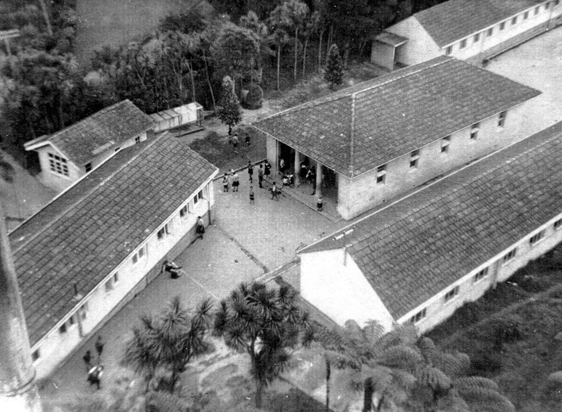 View of Titirangi School - 1950