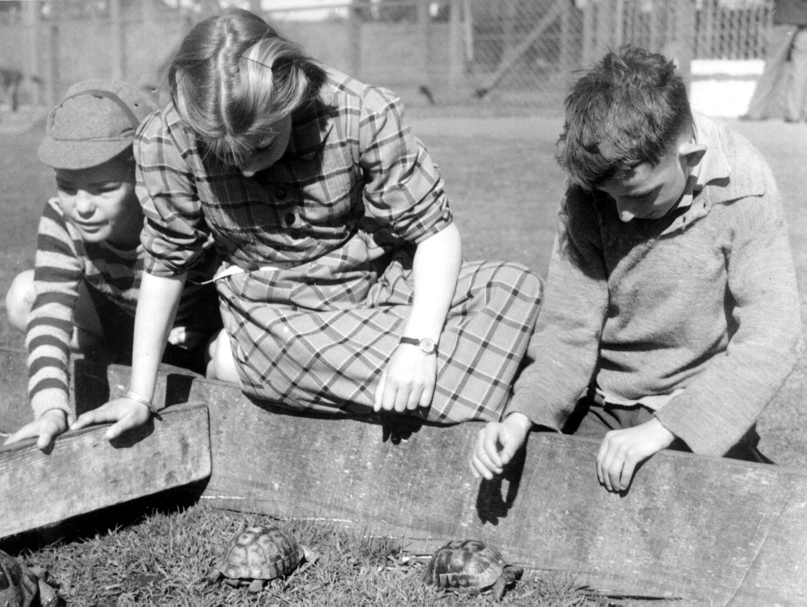 Visiting Auckland Zoo - 1952