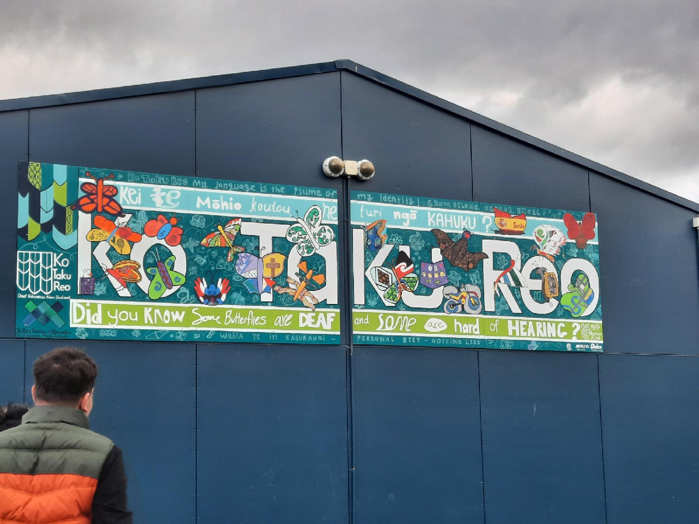 Mural unveiling at Hillmorton High School Provision